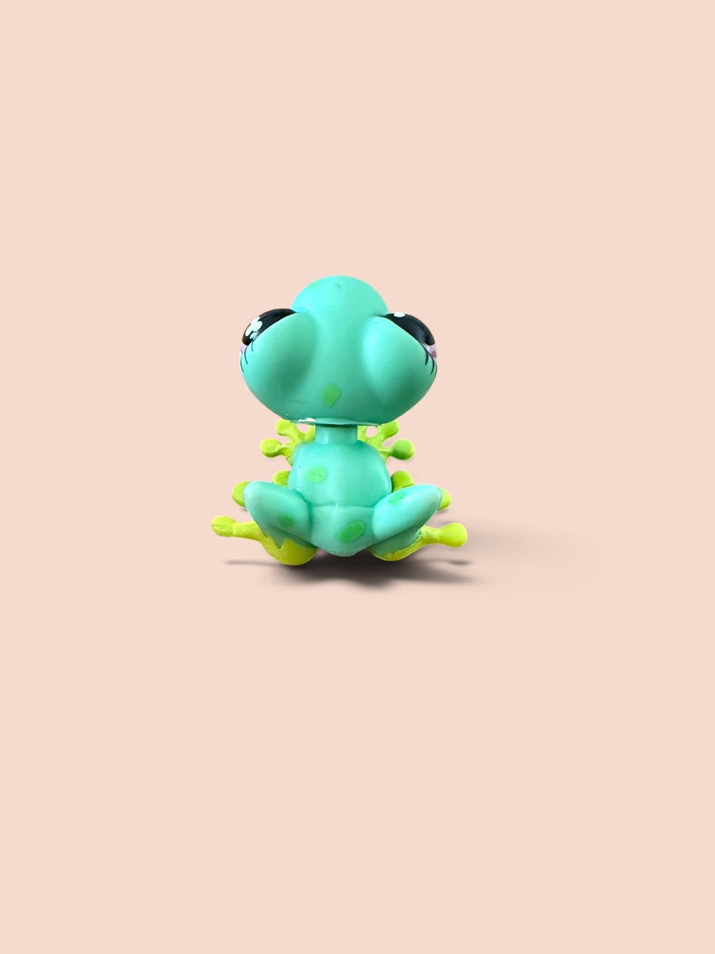 Back of green frog with light green spots 